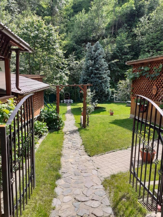 Pension Calborean Tălmaciu Kültér fotó